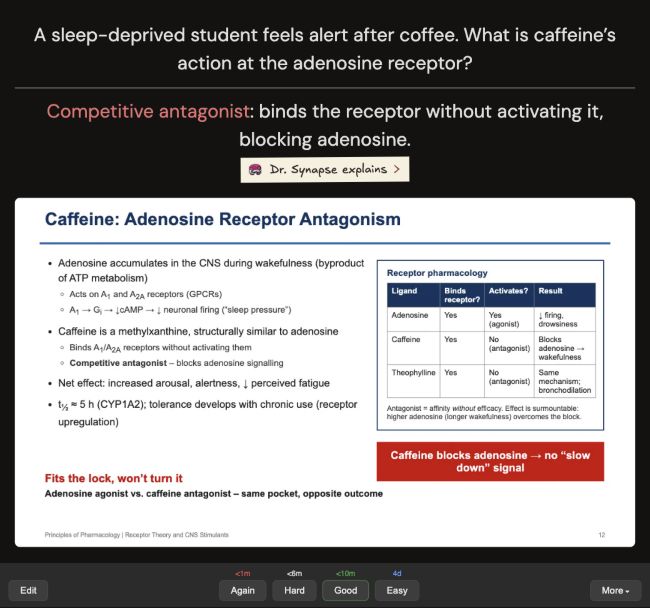 A short card in the original Anki UI: a sleep-deprived student feels alert after coffee. The answer highlights the full term “Competitive antagonist” in red, above the Dr. Synapse explains pill, source slide and Anki review buttons.