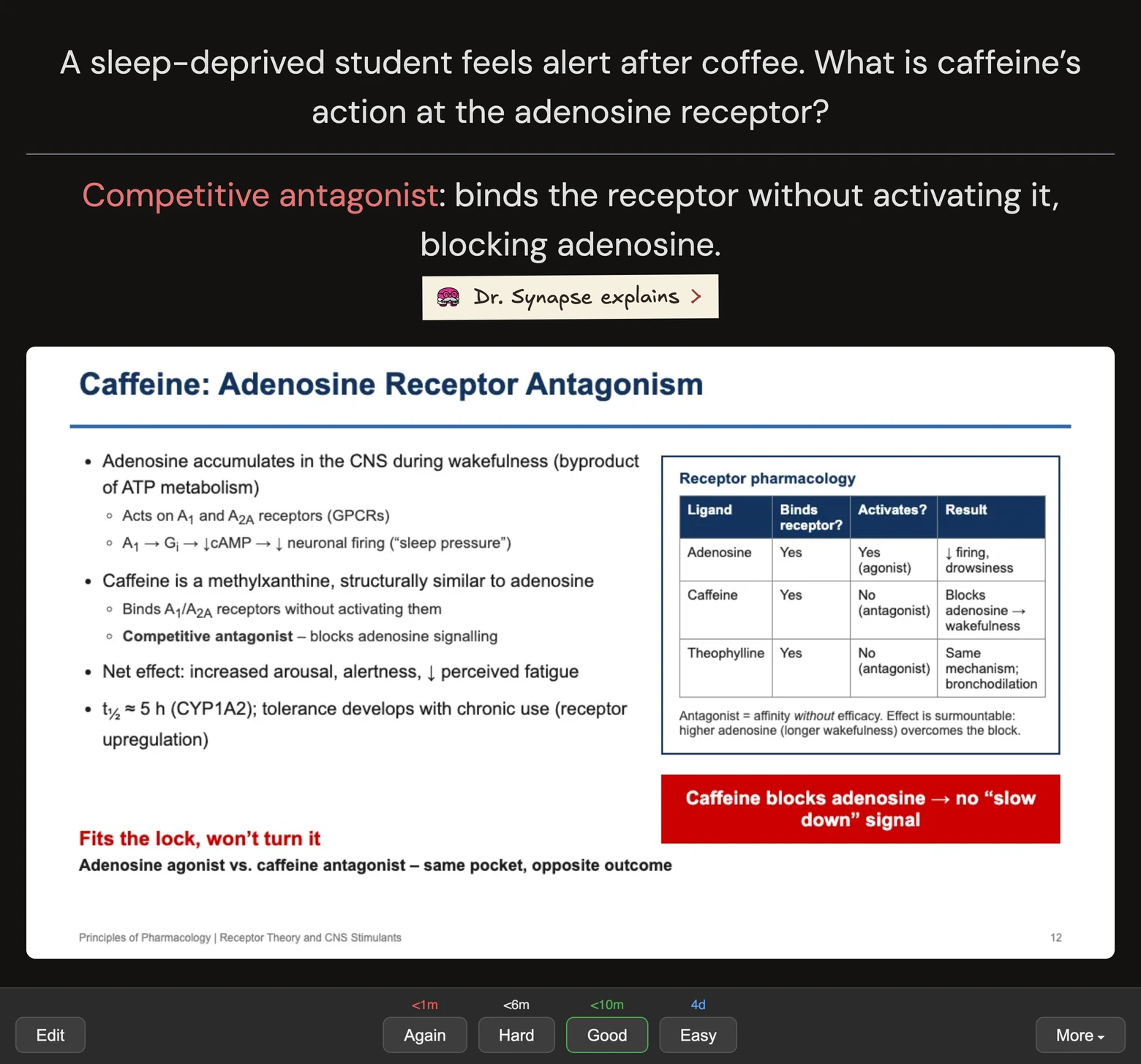 A short card in the original Anki UI: a sleep-deprived student feels alert after coffee. The answer highlights the full term “Competitive antagonist” in red, above the Dr. Synapse explains pill, source slide and Anki review buttons.