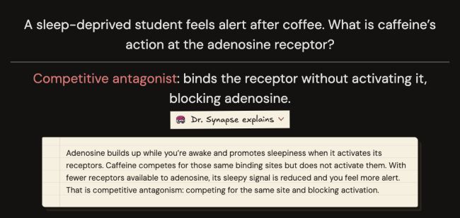 The same short caffeine card with Dr. Synapse explains open: caffeine competes for adenosine receptor binding sites without activating them, reducing the sleepy signal.