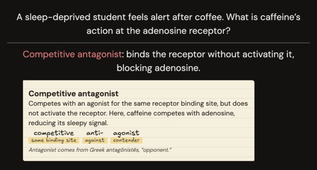 The same short caffeine card with the full red term “Competitive antagonist” expanded: its definition, word parts and Greek origin appear on a cream paper glossary card.