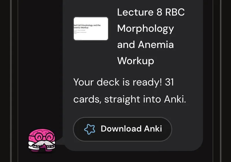 Dr. Synapse reporting a 31-card deck ready from one lecture, with a Download Anki button