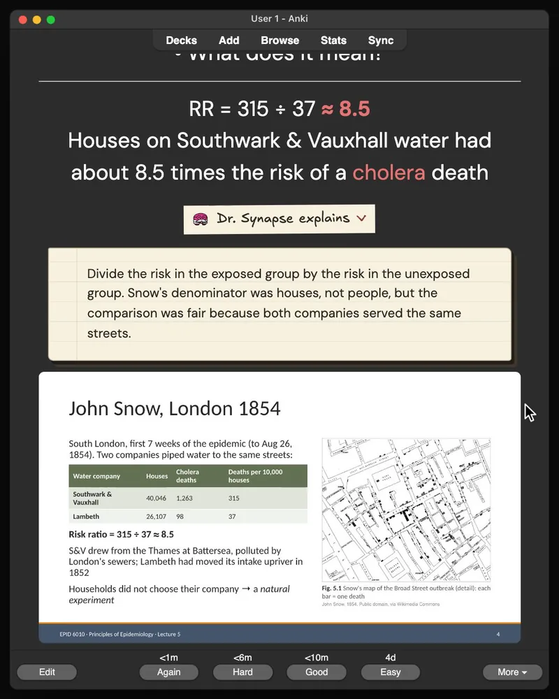 A card from the 31-card deck open in Anki: the answer, Dr. Synapse’s explanation and the lecture slide it came from