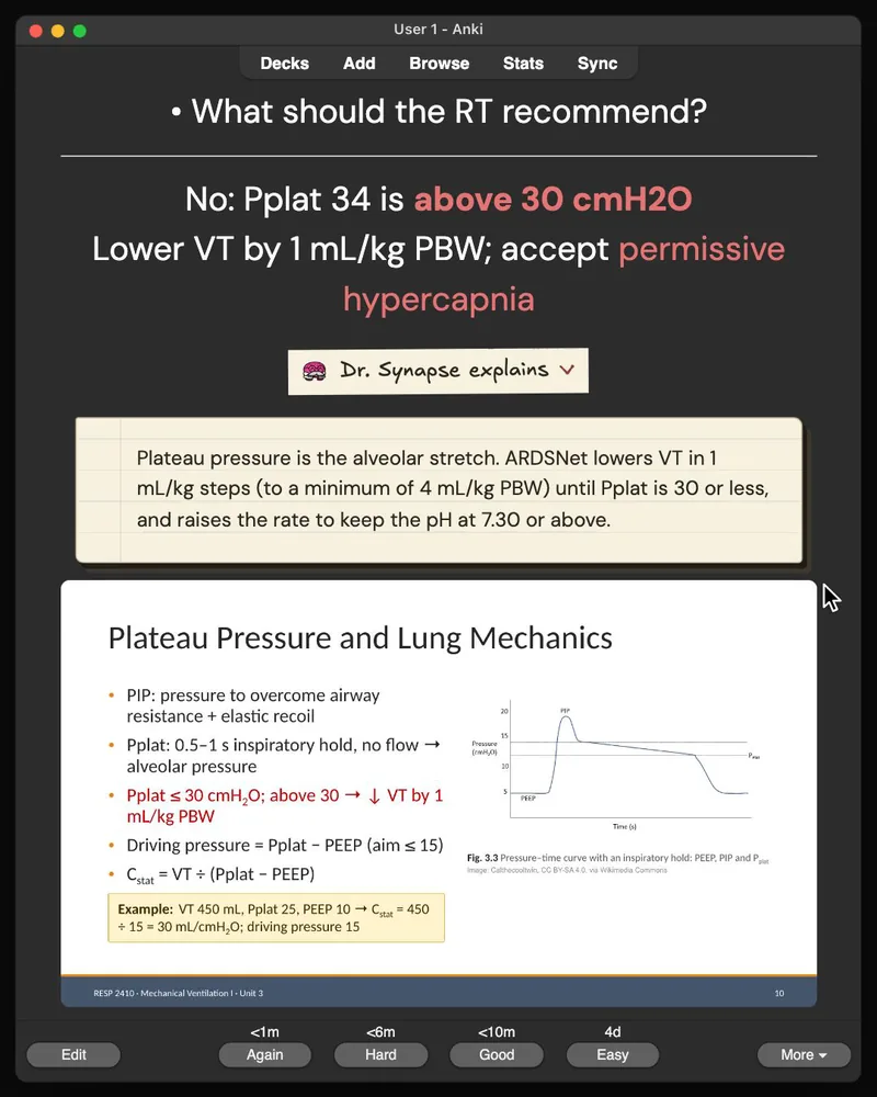 A card from the 32-card deck open in Anki: the answer, Dr. Synapse’s explanation and the lecture slide it came from