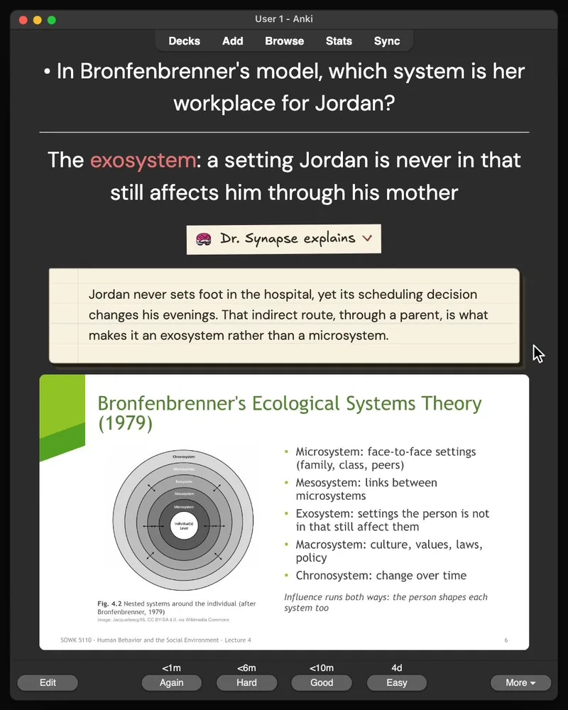 A card from the 31-card deck open in Anki: the answer, Dr. Synapse’s explanation and the lecture slide it came from