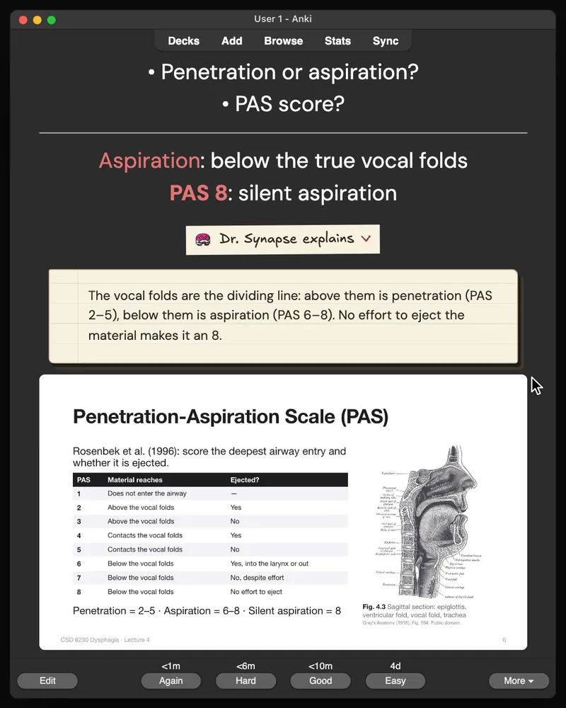 A card from the 31-card deck open in Anki: the answer, Dr. Synapse’s explanation and the lecture slide it came from