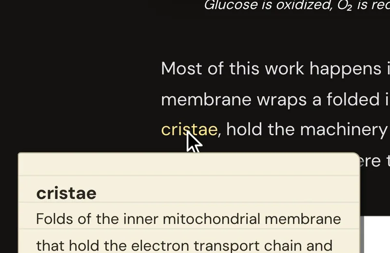 A yellow key term in the Story opened to show its meaning, word parts and origin
