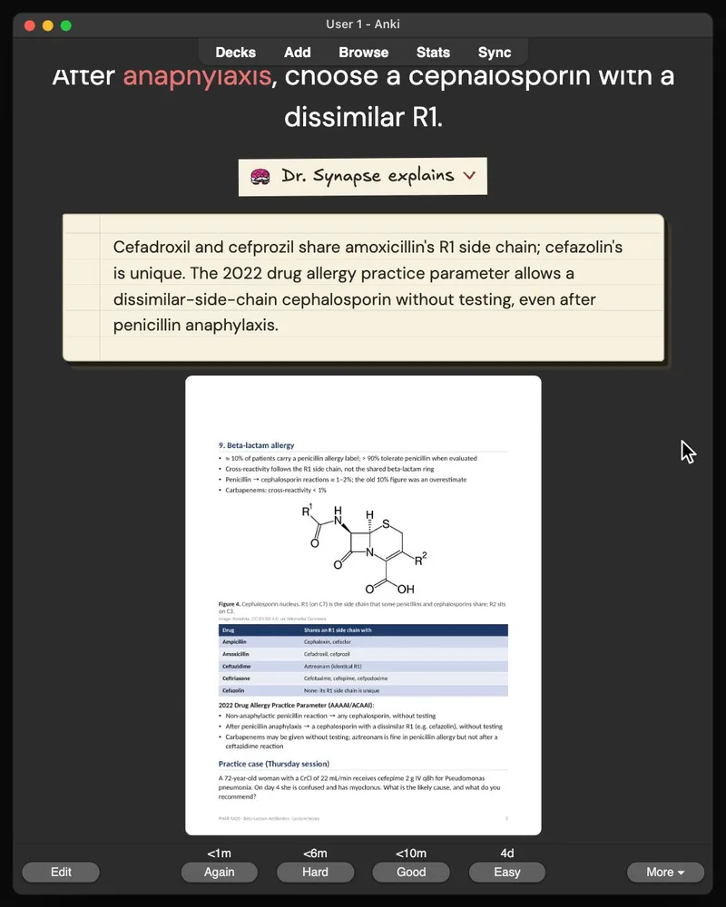 A card from the 31-card deck open in Anki: the answer, Dr. Synapse’s explanation and the lecture slide it came from