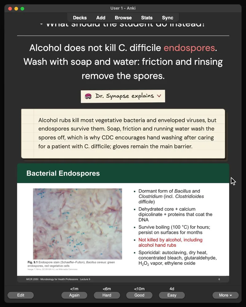 A card from the 32-card deck open in Anki: the answer, Dr. Synapse’s explanation and the lecture slide it came from