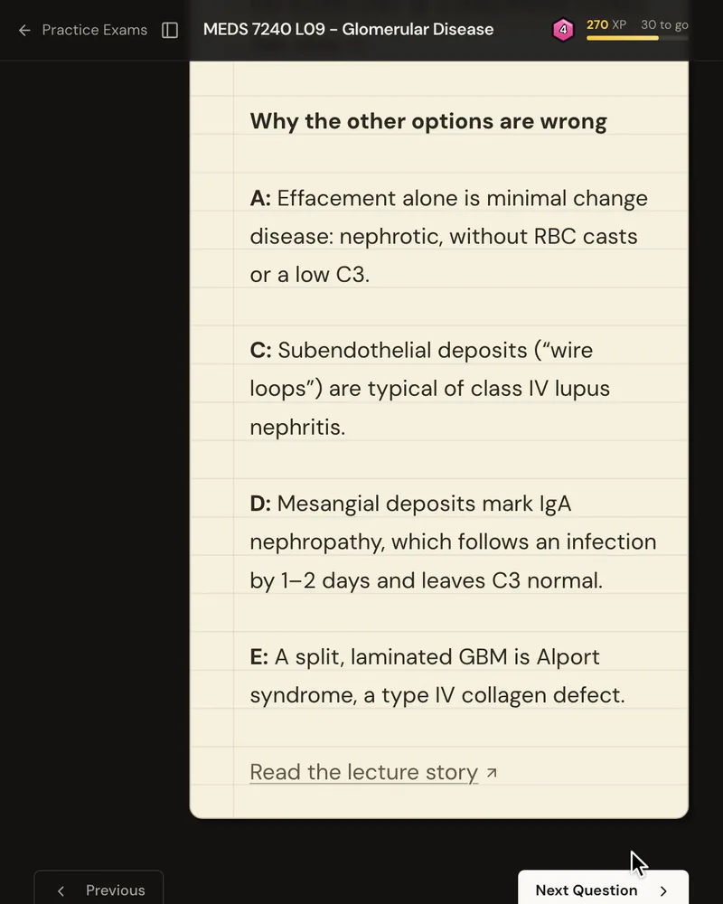 The explanation’s “Why the other options are wrong” list, one reason for each wrong option