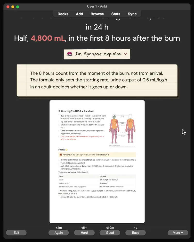 A card from the 30-card deck open in Anki: the answer, Dr. Synapse’s explanation and the lecture slide it came from