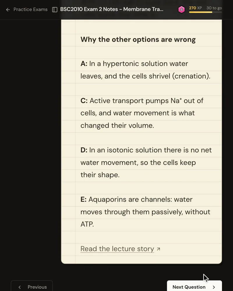 The explanation’s “Why the other options are wrong” list, one reason for each wrong option