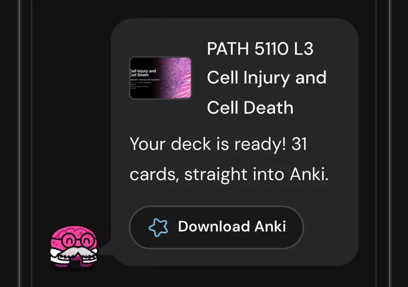 Dr. Synapse reporting a 31-card deck ready from one lecture, with a Download Anki button
