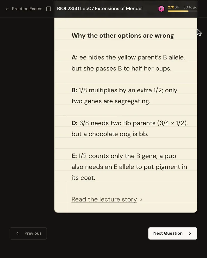 The explanation’s “Why the other options are wrong” list, one reason for each wrong option