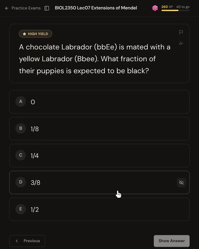 An exam-style question from a genetics lecture: a chocolate Labrador (bbEe) is mated with a yellow Labrador (Bbee), asking what fraction of their puppies will be black, with five answer options