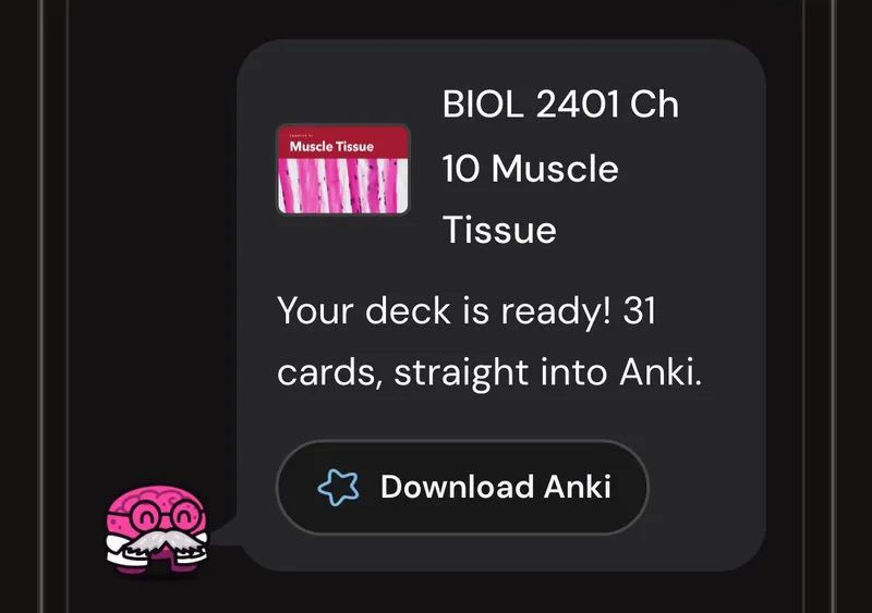 Dr. Synapse reporting a 31-card deck ready from one lecture, with a Download Anki button