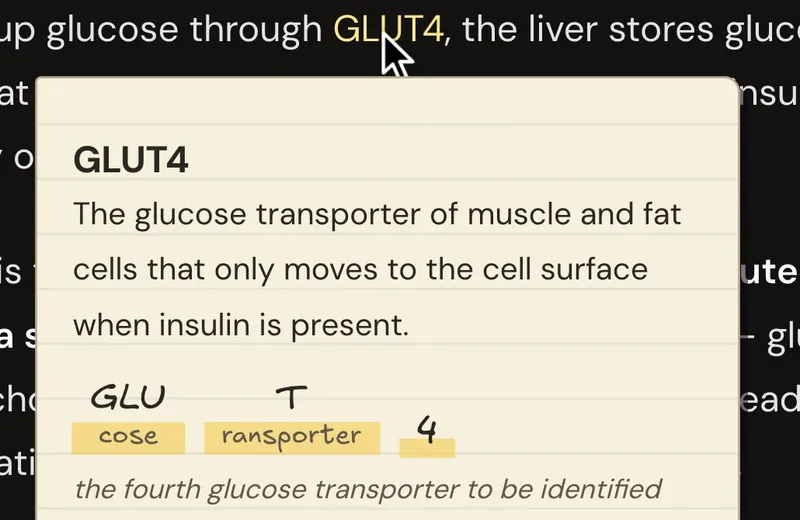 A yellow key term in the Story opened to show its meaning, word parts and origin