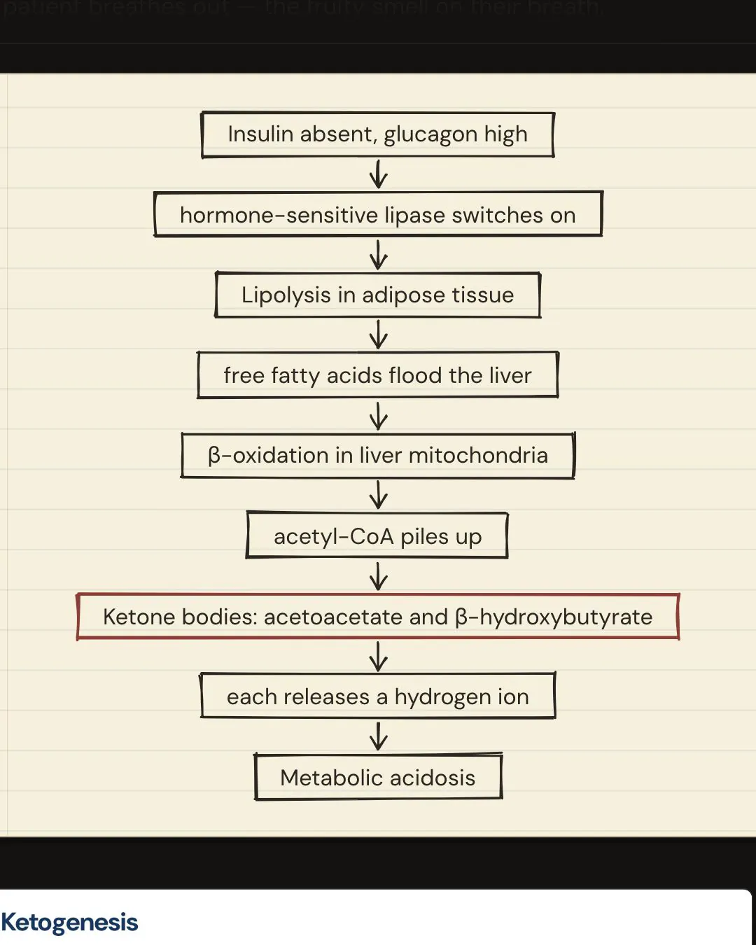 A Story chapter with each step of the lecture’s pathway drawn out beside the explanation