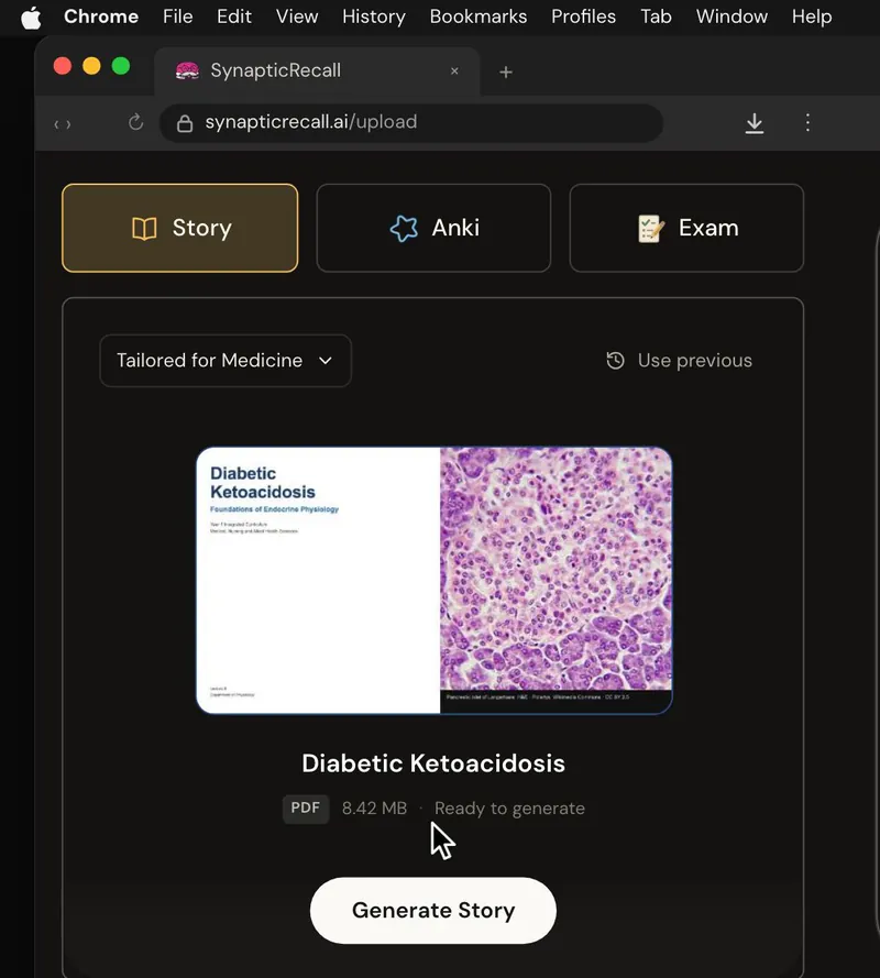 The upload page with a lecture PDF dropped in and the Story selected